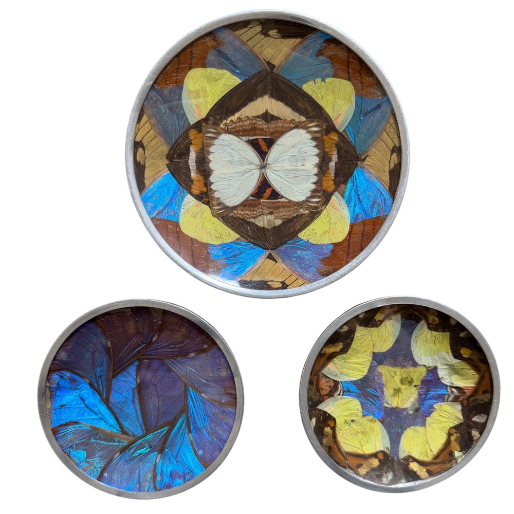 Vintage Real Butterfly Wing Art Wall Plates Set of 3 Blue Morpho Taxidermy Decor